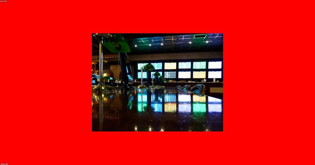 Sportsbook features on Dhoni88