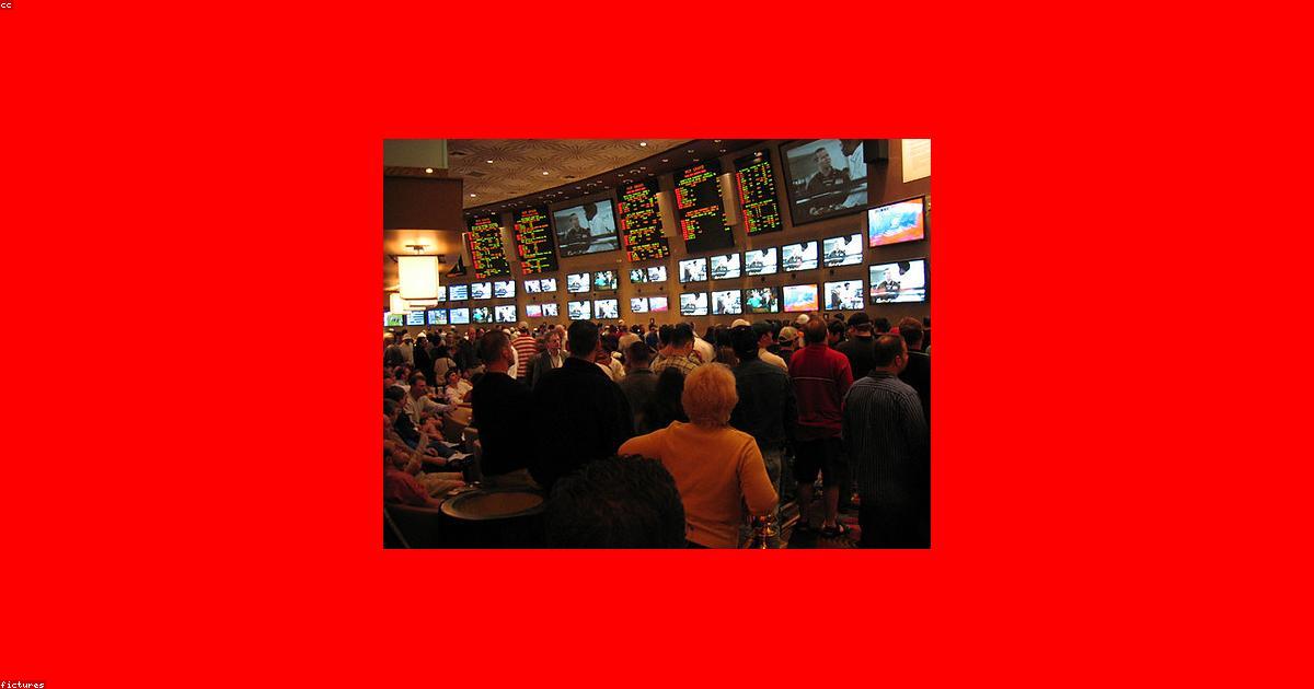 sportsbook options