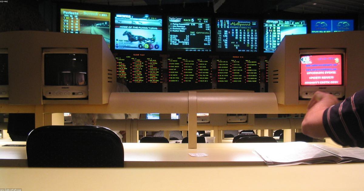 Live Sports Betting at Dhoni88